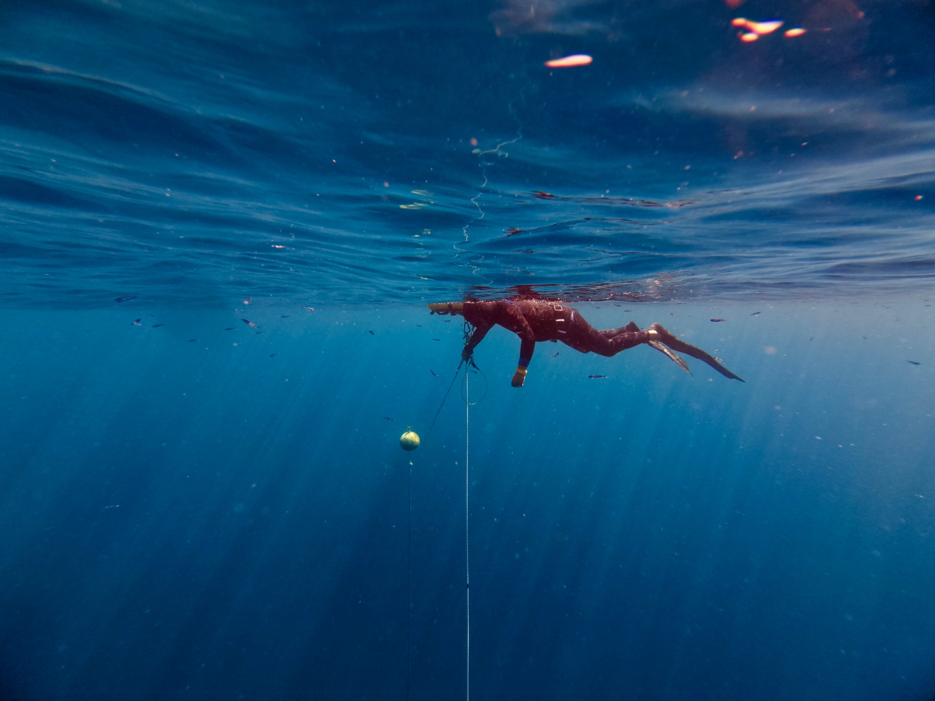 Freediver at surface, Dahab